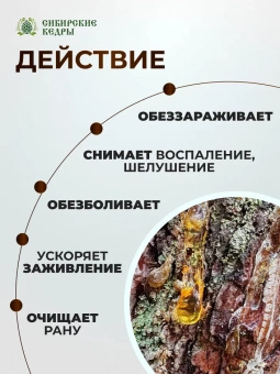 Живица кедровая 30%