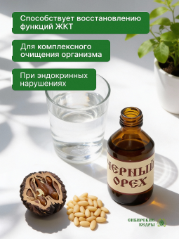 Черный орех